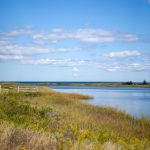 畅享体育足球在线直播观看,随时随地不再错过精彩赛事 48vly2