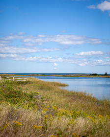 畅享体育足球在线直播观看，随时随地不再错过精彩赛事
