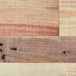 第一版主网贴吧:探索网络社区的魅力与互动体验 6ap169