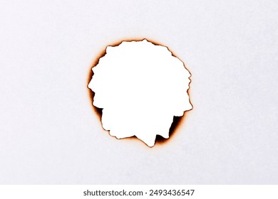 畅享全本小说下载，尽情沉浸书海世界