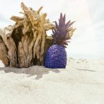 畅享免费更新迅速的电影电视剧观看软件推荐 bokgag5