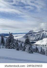 畅享免费美剧在线观看网站，海量剧集任你挑选