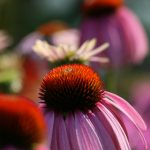 畅享免费观看高清电影在线,尽情体验影院级视听盛宴 euwlhi