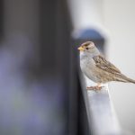 畅享免费漫画网站在线观看,尽情探索精彩漫画世界 foih2g