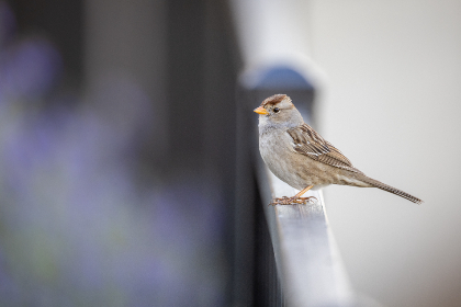 畅享免费漫画网站在线观看，尽情探索精彩漫画世界