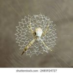 畅享免费看韩漫的最佳下拉平台推荐 lhccv