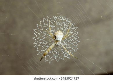 畅享免费看韩漫的最佳下拉平台推荐