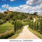 第九区在线观看免费观看:探索外星人与人类的惊险故事 ng890a43