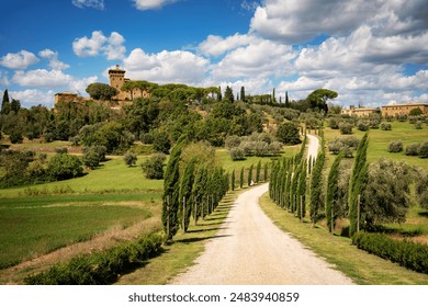 第九区在线观看免费观看：探索外星人与人类的惊险故事