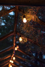 畅享免费动漫小说的奇幻世界，尽情阅读无限精彩