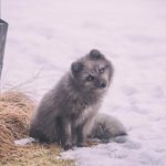 畅享免费高清电影,尽在在线观看平台 pomavo7m68