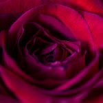 畅享免费电影在线播放,尽看少帅精彩剧情 wro7r2