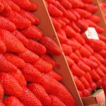 第一大弟子漫画免费观看:畅享精彩剧情与角色魅力 x79hb