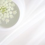 精品软件库吾爱:探索最优质软件资源,提升你的数字生活体验 xp4w4dv