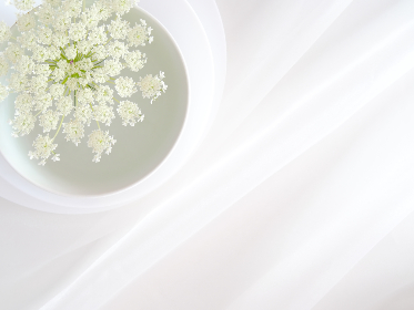 精品软件库吾爱：探索最优质软件资源，提升你的数字生活体验