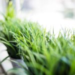 第一大弟子无减少不需要阅读币:揭秘无门槛获取秘籍的独特之路 y1w886y91t