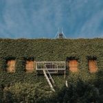 第一版主下载:获取最新版本的全攻略与技巧 yjtqqk1l